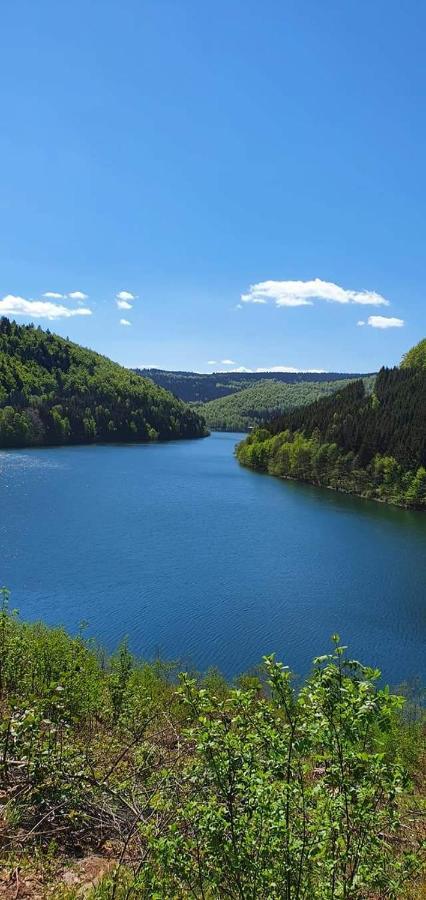 Appartamento Haus Hasenmueller Schmiedefeld am Rennsteig Esterno foto