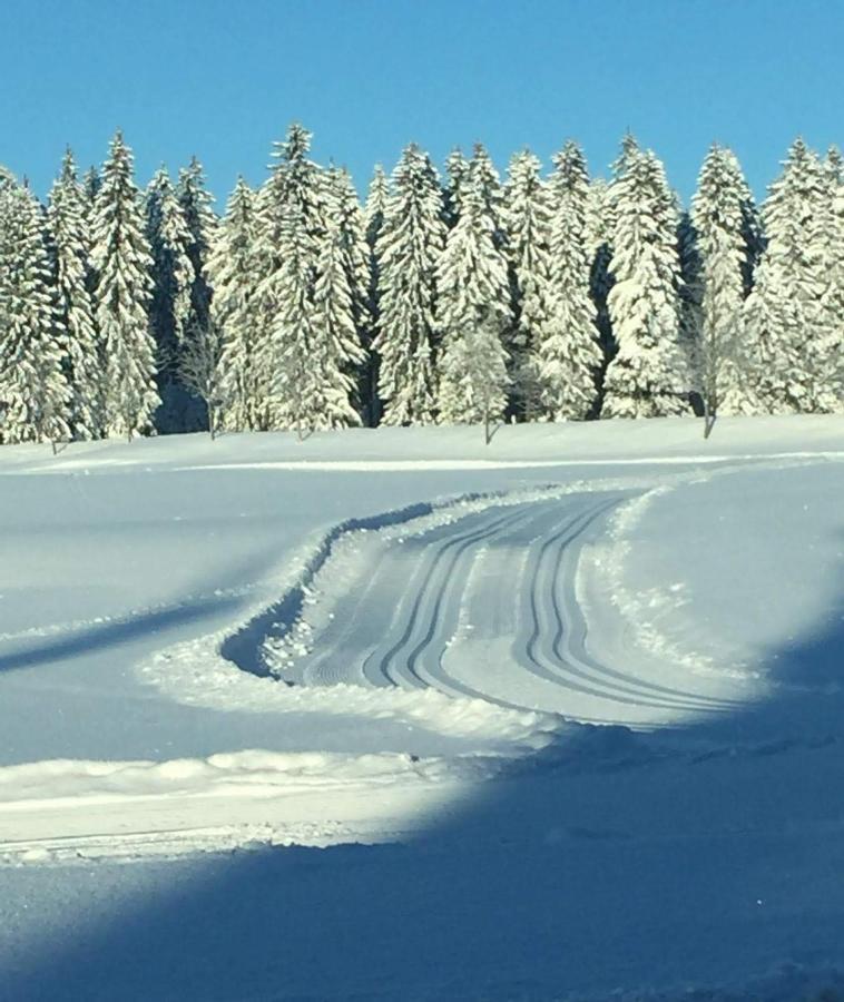 Appartamento Haus Hasenmueller Schmiedefeld am Rennsteig Esterno foto